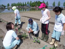 地産地消活動農作体験その1